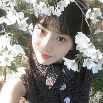 苏安记 封面