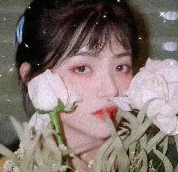 夏夜知君暖 封面